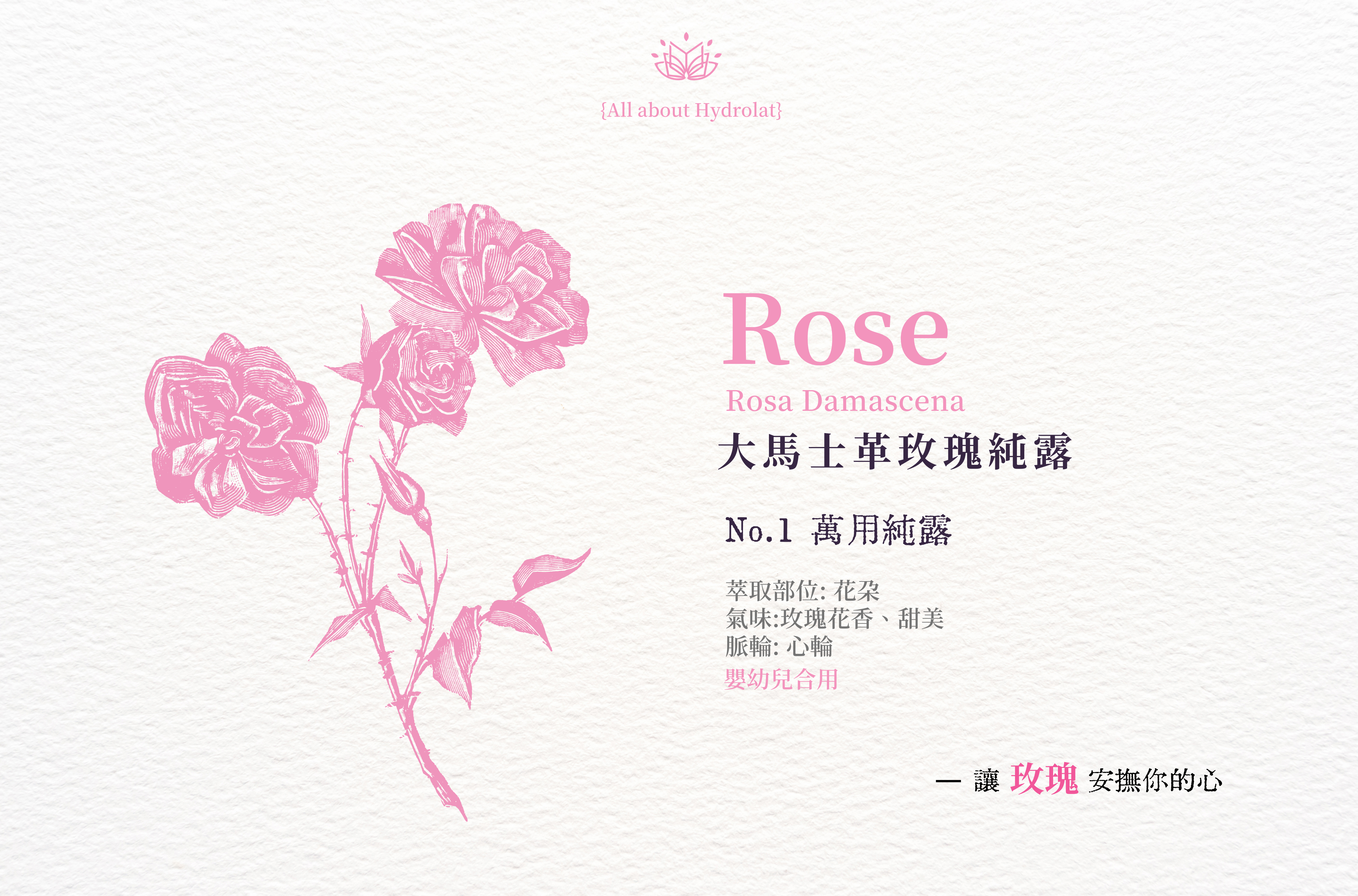 玫瑰純露 | Rosa Damascena | Rosa Centifolia